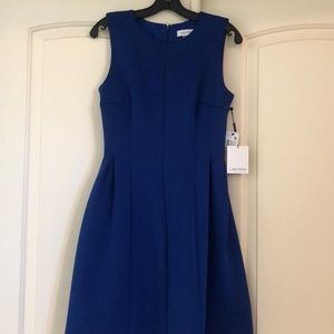 Royal Blue Calvin Klein